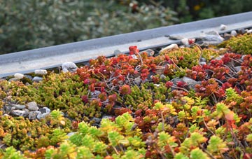 the cost of Radley Park green roof installation