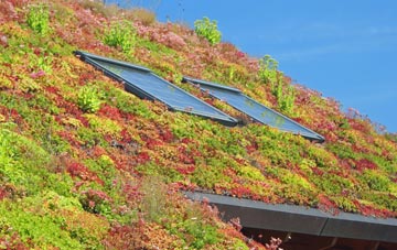 Radley Park living roof systems