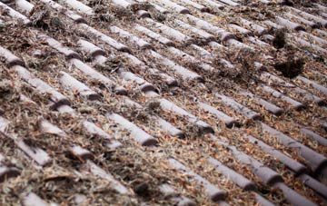 Radley Park roof cleaning companies