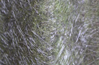 Radley Park fibreglass roof work